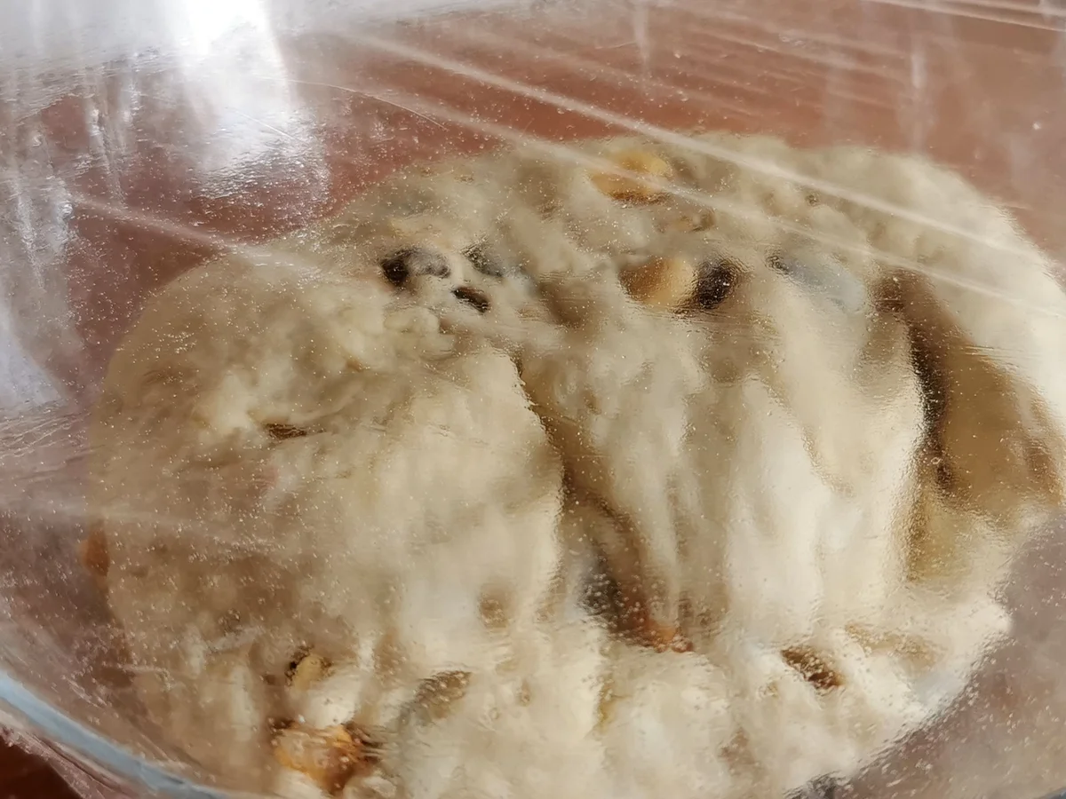 Rezept: Studentenfutter Brötchen Bild Nr. 15955 Studentenfutter Brötchen - Rezept - Bild Nr. 15955