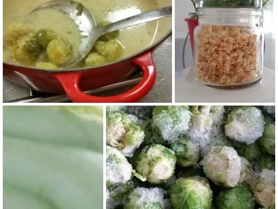 Rezept: Schweinefilet-Rosenkohl-Knödel zur kochbar Challenge 06-2022 Bild Nr. 15961 Schweinefilet-Rosenkohl-Knödel zur kochbar Challenge 06-2022 - Rezept - Bild Nr. 15961