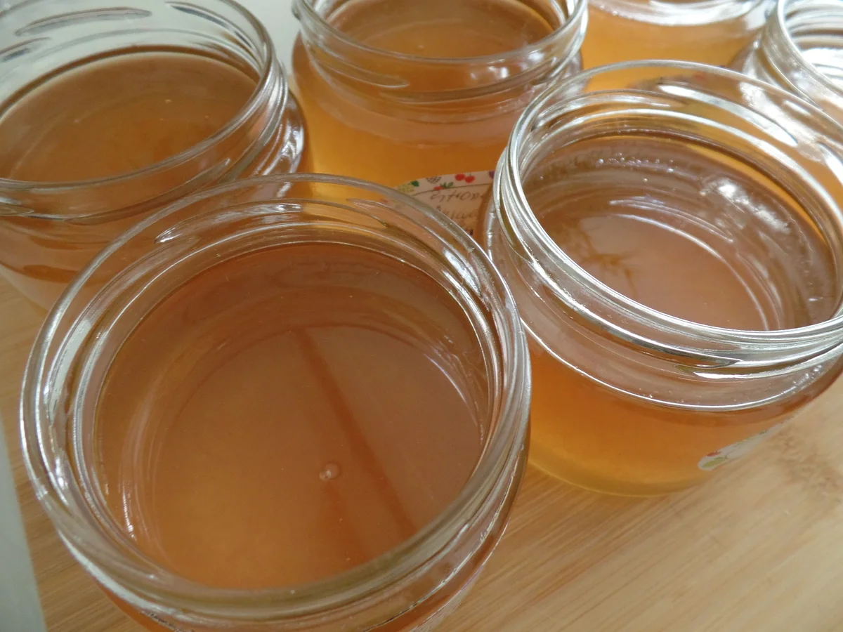 Rezept: Zitronen-Ingwer-Gelee Bild Nr. 15988 Zitronen-Ingwer-Gelee - Rezept - Bild Nr. 15988