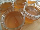 Zitronen-Ingwer-Gelee - Rezept - Bild Nr. 15988