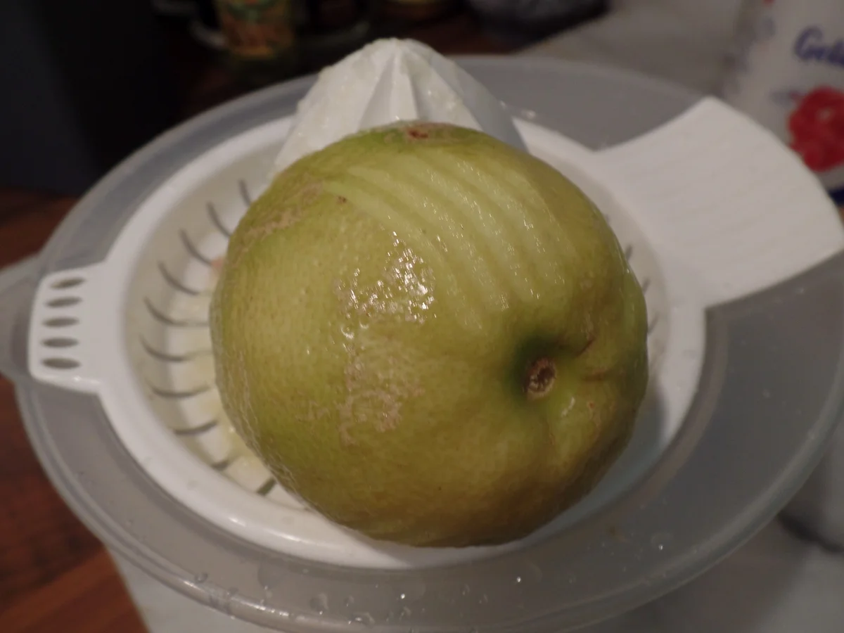 Rezept: Zitronen-Ingwer-Gelee Bild Nr. 15991 Zitronen-Ingwer-Gelee - Rezept - Bild Nr. 15991