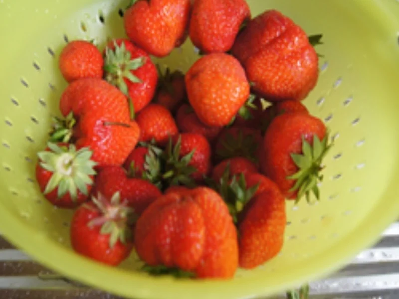 Erdbeer-Buttermilch-Shake - Rezept - Bild Nr. 3