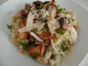 Pilz-Risotto mit Trüffel-Käse on Top - Rezept - Bild Nr. 15999