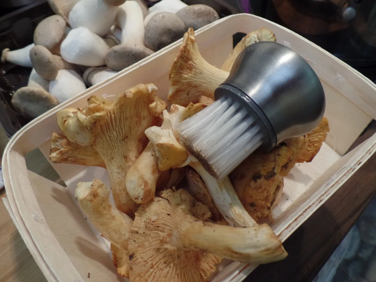 Rezept: Pilz-Risotto mit Trüffel-Käse on Top Bild Nr. 16001 Pilz-Risotto mit Trüffel-Käse on Top - Rezept - Bild Nr. 16001