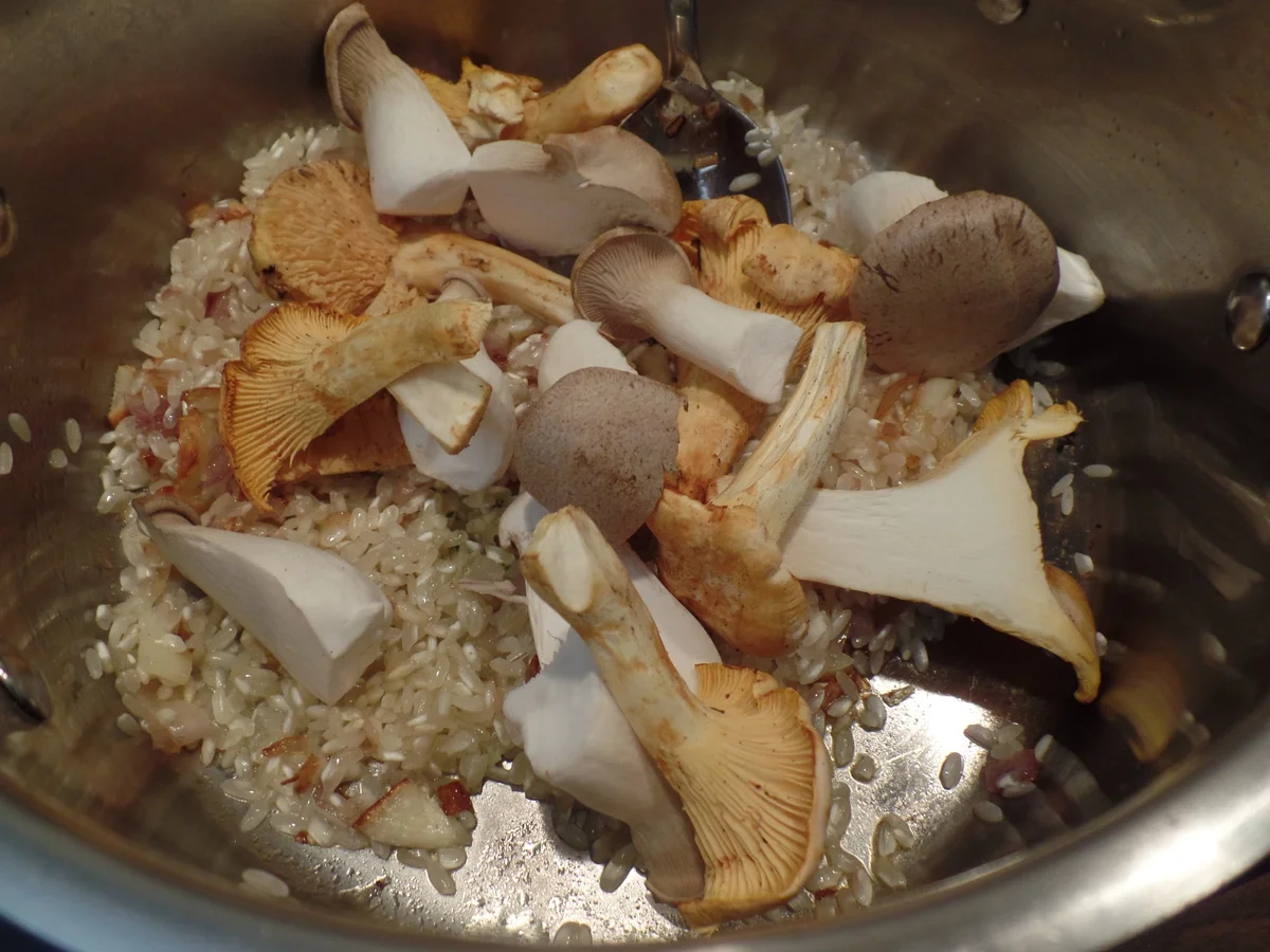 Rezept: Pilz-Risotto mit Trüffel-Käse on Top Bild Nr. 16003 Pilz-Risotto mit Trüffel-Käse on Top - Rezept - Bild Nr. 16003