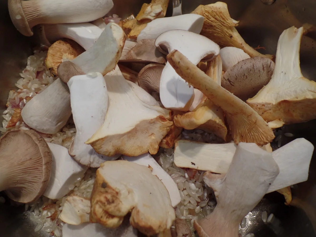 Rezept: Pilz-Risotto mit Trüffel-Käse on Top Bild Nr. 16004 Pilz-Risotto mit Trüffel-Käse on Top - Rezept - Bild Nr. 16004