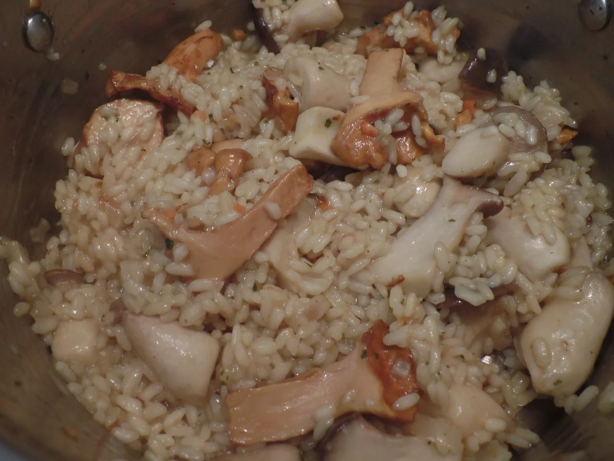 Rezept: Pilz-Risotto mit Trüffel-Käse on Top Bild Nr. 16005 Pilz-Risotto mit Trüffel-Käse on Top - Rezept - Bild Nr. 16005