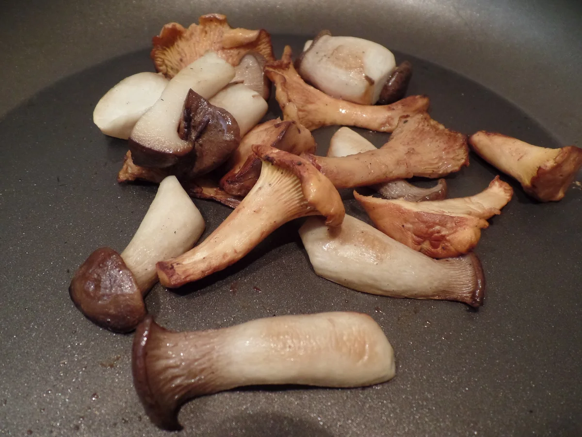 Rezept: Pilz-Risotto mit Trüffel-Käse on Top Bild Nr. 16007 Pilz-Risotto mit Trüffel-Käse on Top - Rezept - Bild Nr. 16007