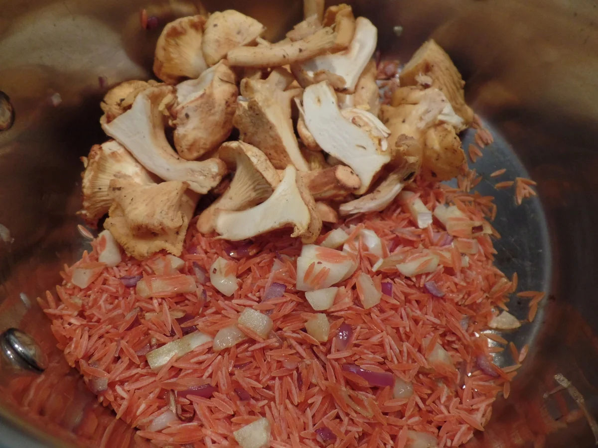 Rote-Linsen-Reis -Pfifferling-Risotto - Rezept - Bild Nr. 16005