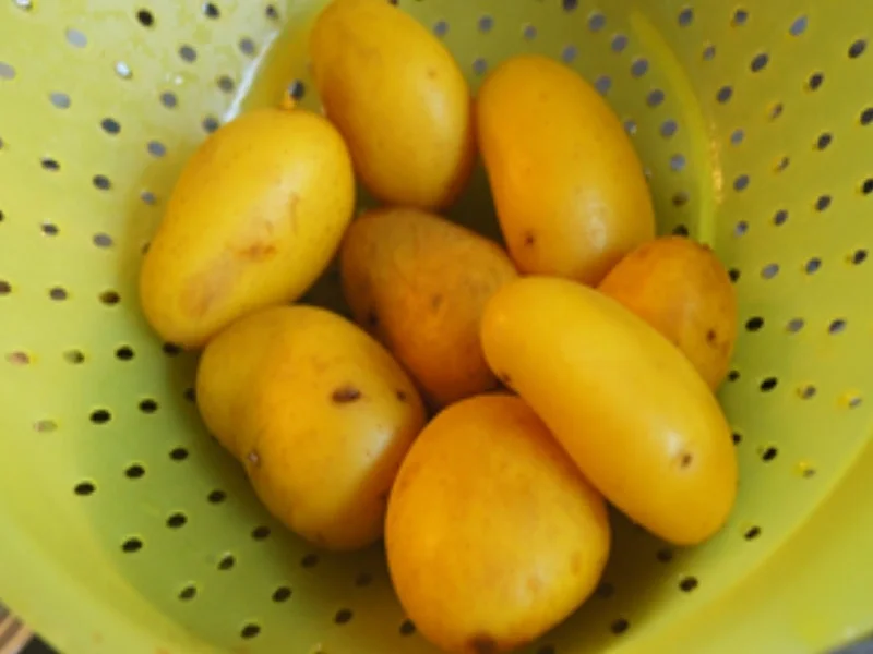 Rezept: Drillinge-Kidneybohnen-Pfanne Bild Nr. 16002 Drillinge-Kidneybohnen-Pfanne - Rezept - Bild Nr. 16002