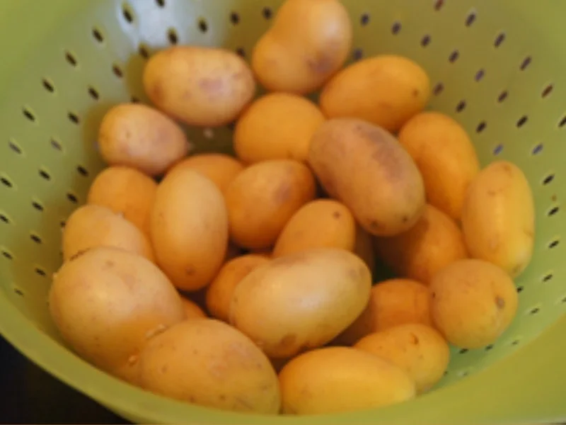 Presssack rot und weiß mit Bratkartoffel-Drillingen und TARTASKA OMACKA - Rezept - Bild Nr. 6