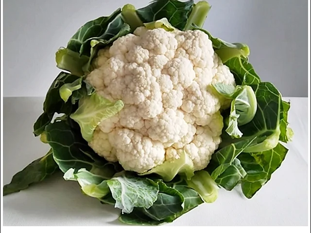 Gedämpfter Blumenkohl-Steaks - Rezept - Bild Nr. 16011