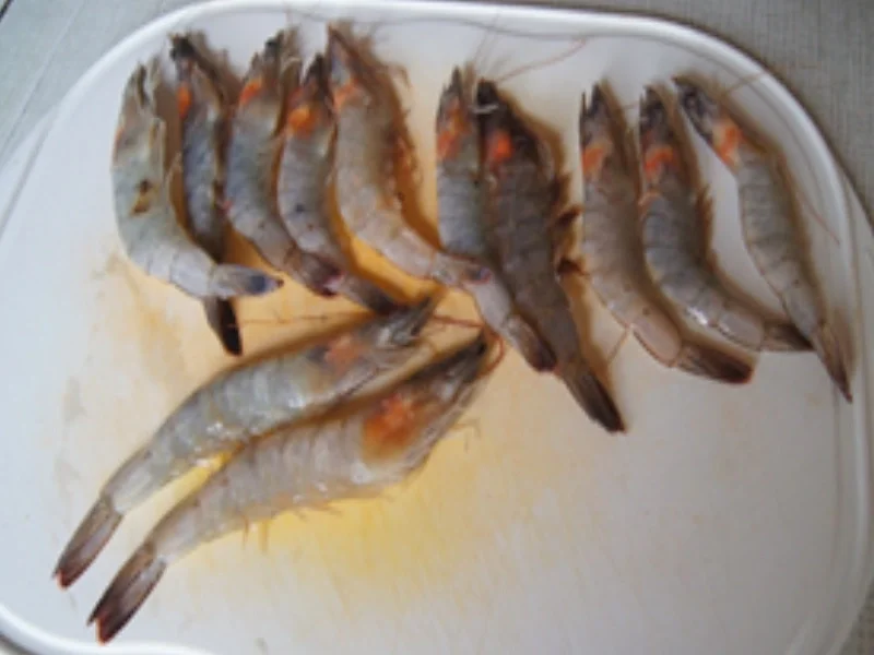 Rezept: Tomaten-Basilikum-Suppe mit Garnelen Bild Nr. 16020 Tomaten-Basilikum-Suppe mit Garnelen - Rezept - Bild Nr. 16020