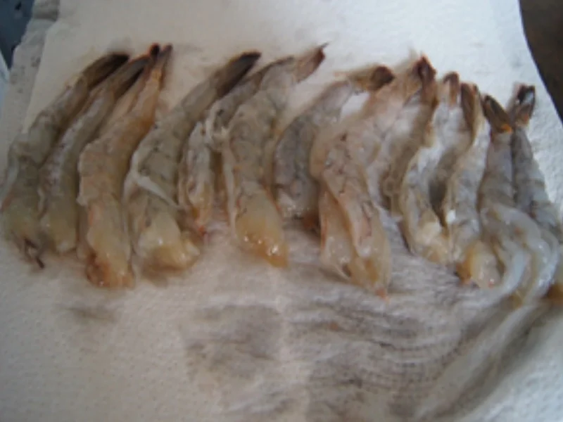 Rezept: Tomaten-Basilikum-Suppe mit Garnelen Bild Nr. 16022 Tomaten-Basilikum-Suppe mit Garnelen - Rezept - Bild Nr. 16022