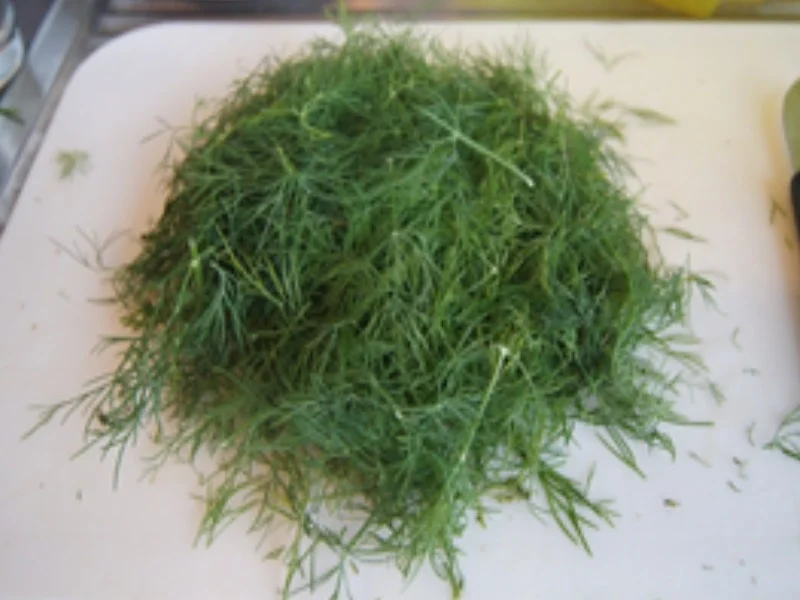 Rezept: Wachteleier in Dillsauce mit grünen Bohnen und gelben Basmatireis Bild Nr. 6 Wachteleier in Dillsauce mit grünen Bohnen und gelben Basmatireis - Rezept - Bild Nr. 6