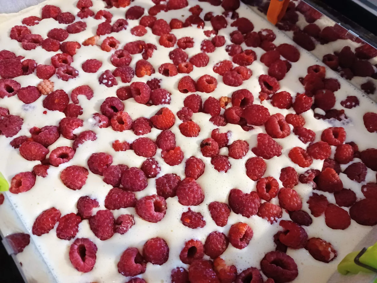 Himbeerschnitte - Rezept - Bild Nr. 8