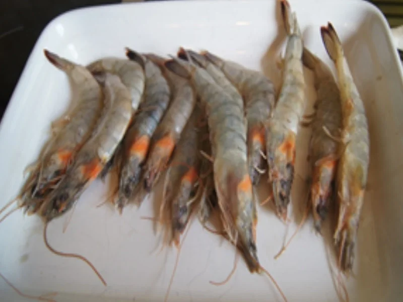 Frittierte Phönix-Garnelen mit Mie-Nudeln und Eisbergsalat - Rezept - Bild Nr. 4