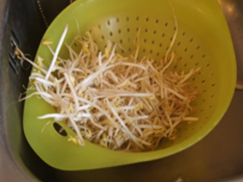 Rezept: Chinesische Bratnudeln mit Mett, Ei und Gemüsemix Bild Nr. 11 Chinesische Bratnudeln mit Mett, Ei und Gemüsemix - Rezept - Bild Nr. 11