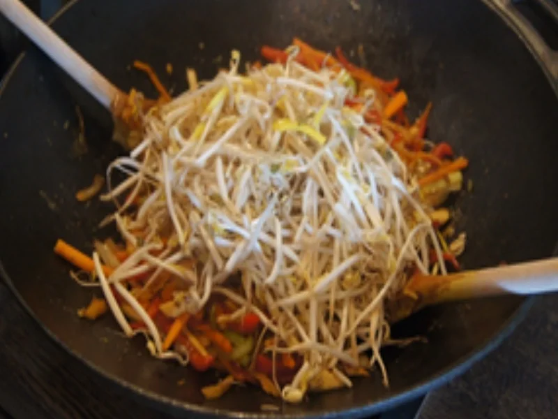 Rezept: Chinesische Bratnudeln mit Mett, Ei und Gemüsemix Bild Nr. 22 Chinesische Bratnudeln mit Mett, Ei und Gemüsemix - Rezept - Bild Nr. 22