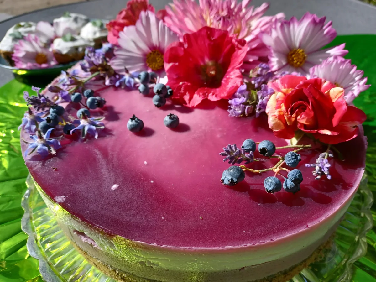 Rezept: Blaubeer-Sahne-Torte und Muffin Bild Nr. 25 Blaubeer-Sahne-Torte und Muffin - Rezept - Bild Nr. 25