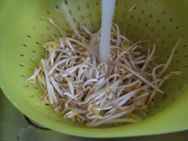 Rezept: Chinesische Suppe Bild Nr. 4 Chinesische Suppe - Rezept - Bild Nr. 4