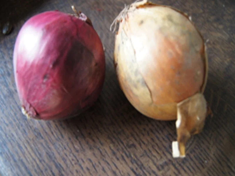 Herzhafter Tomatensalat - Rezept - Bild Nr. 5