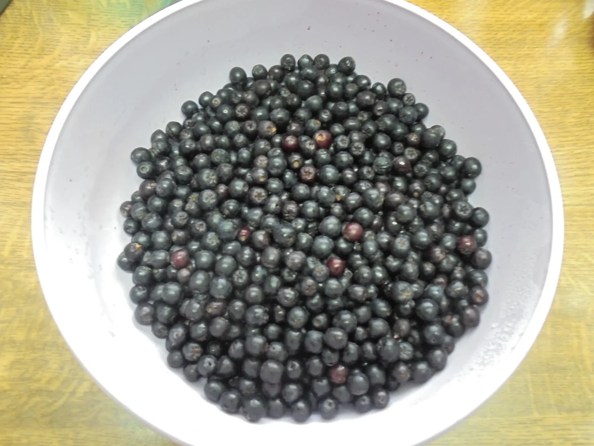 Aronia-Apfel Gelee - Rezept - Bild Nr. 3