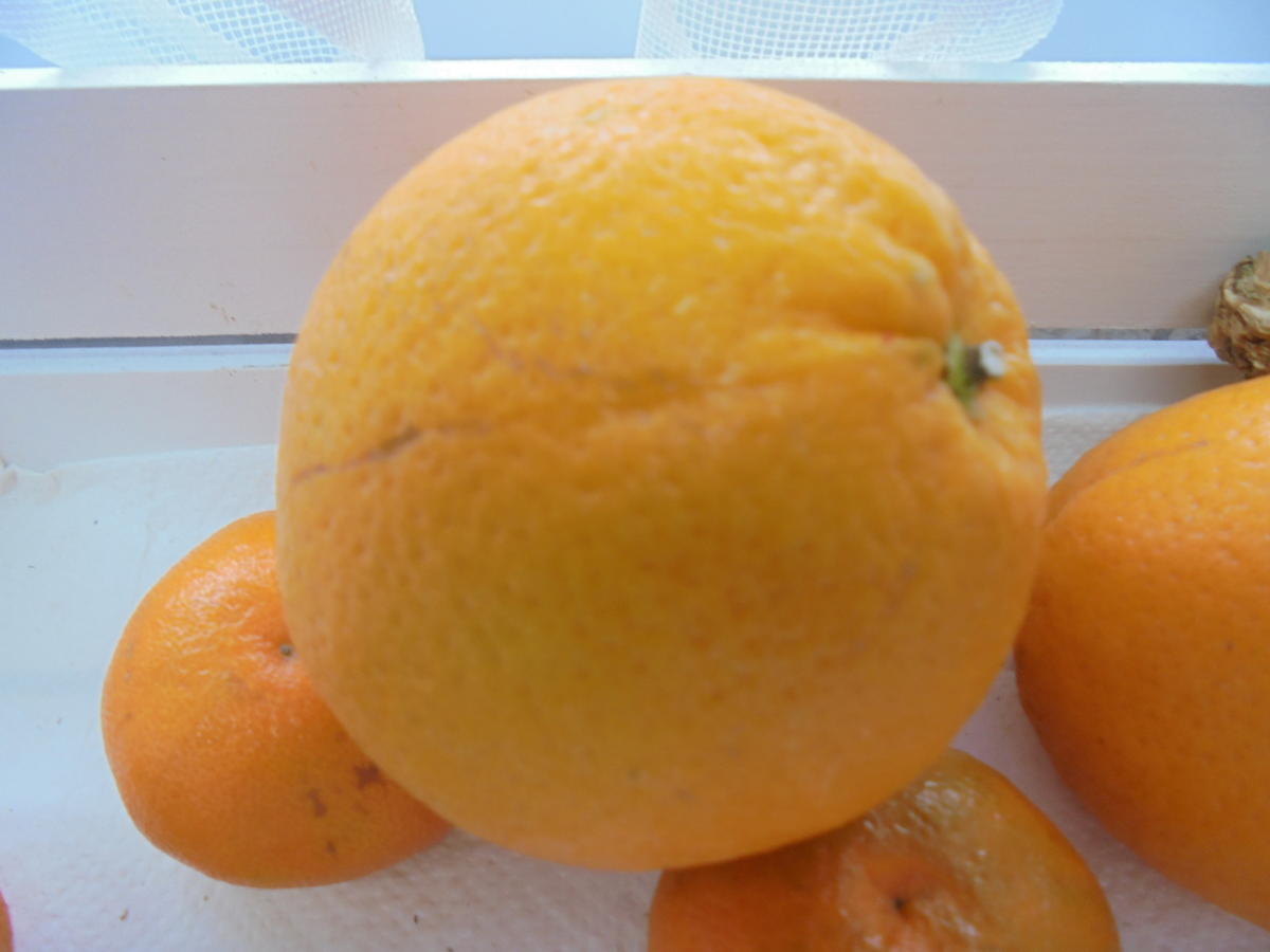 Aronia-Apfel Gelee - Rezept - Bild Nr. 5