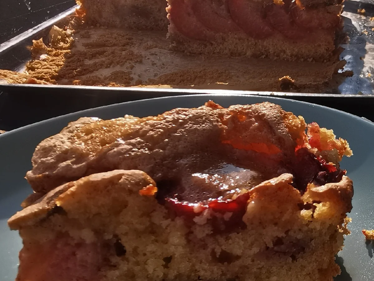 BiNe` S ZWETSCHGENKUCHEN - Rezept - Bild Nr. 6