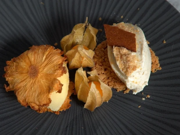 Ungebackener Cheesecake  mit Ananassorbet - Rezept - Bild Nr. 2