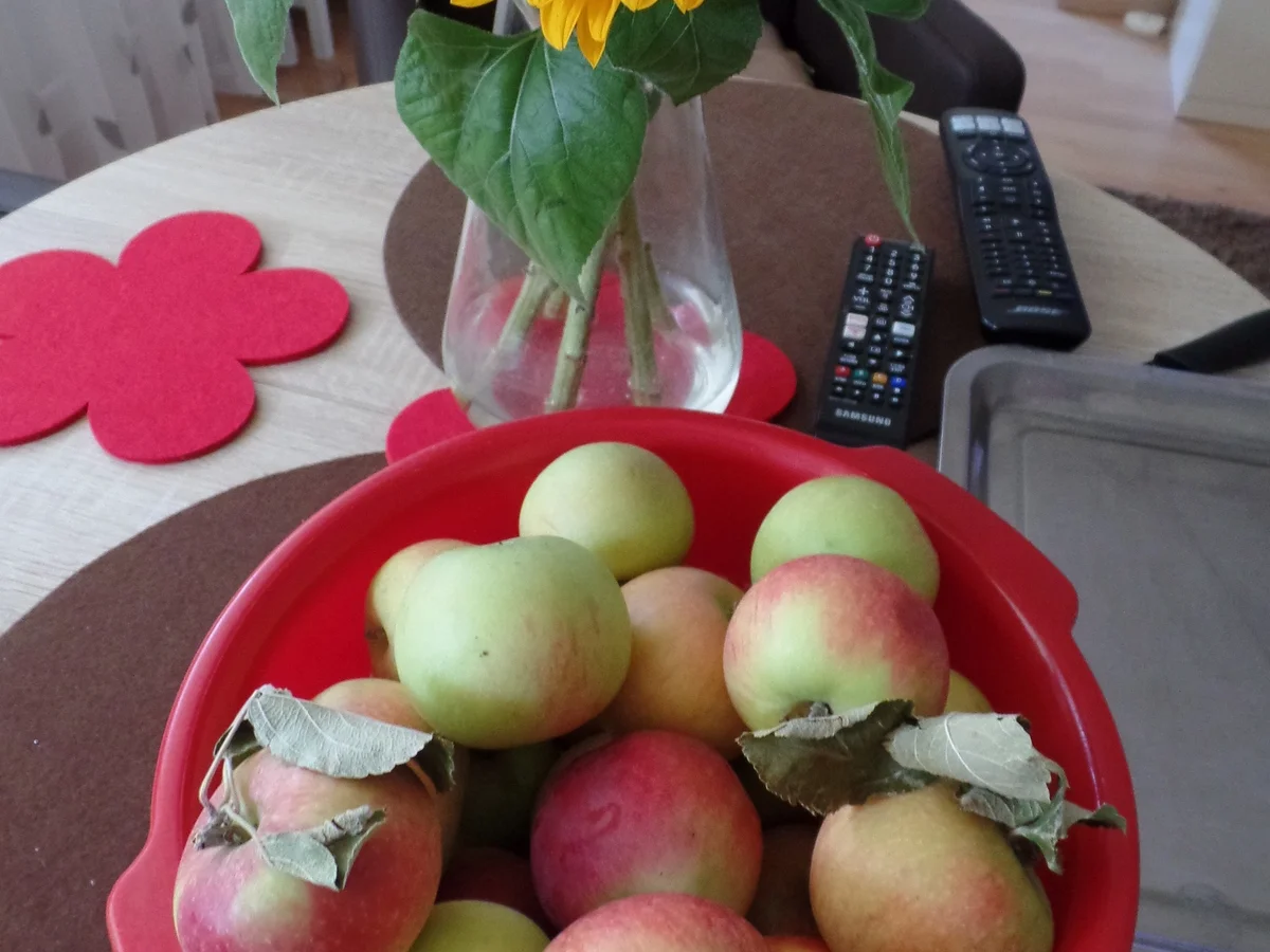 Milchreis mit selbstgemachten Apfelkompott - Rezept - Bild Nr. 16043