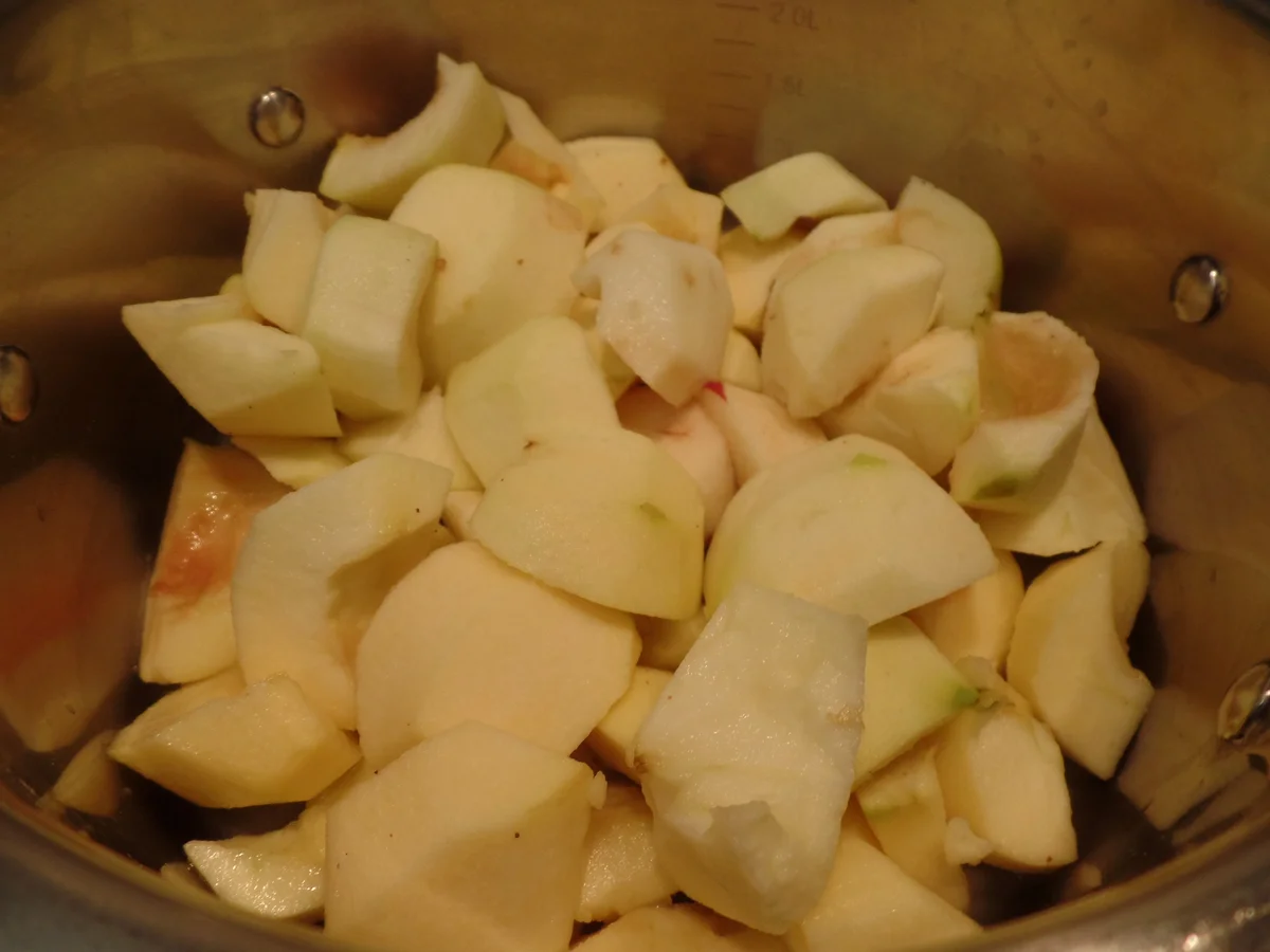 Milchreis mit selbstgemachten Apfelkompott - Rezept - Bild Nr. 16044