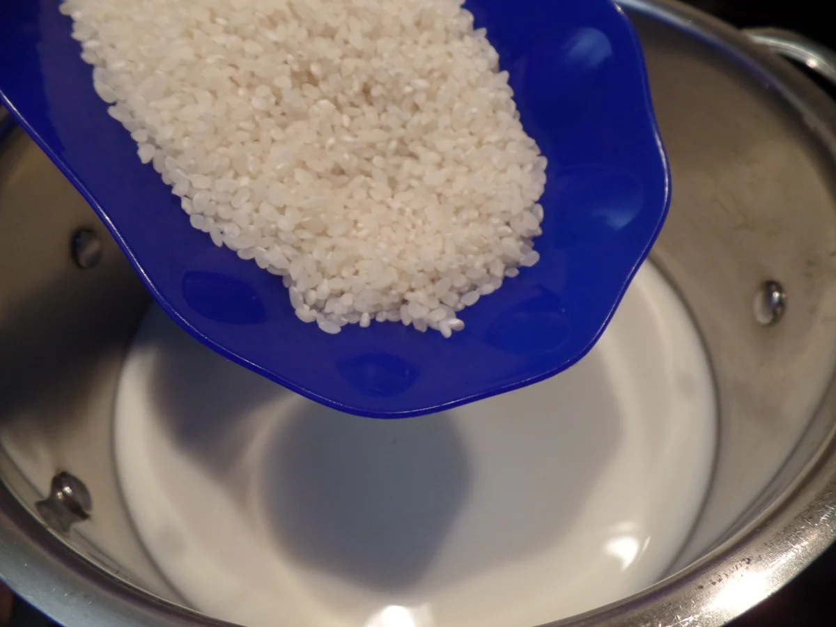 Milchreis mit selbstgemachten Apfelkompott - Rezept - Bild Nr. 16047