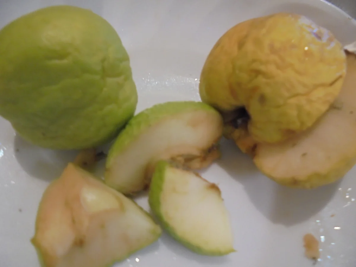 Mirabellen Marmelade (Gelbe Zwetschge) - Rezept - Bild Nr. 16044