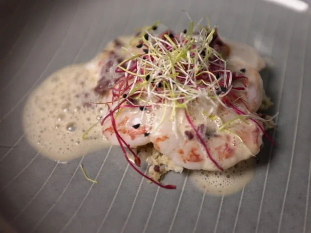 Rezept: Rotgarnelen-Carpaccio mit geröstetem Blumenkohl Bild Nr. 2 Rotgarnelen-Carpaccio mit geröstetem Blumenkohl - Rezept - Bild Nr. 2