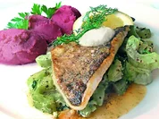 Zander auf Gurke in Senfrahm, Rote-Bete-Püree - Rezept - Bild Nr. 16045