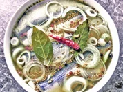 Bismarkheringe - Rezept - Bild Nr. 16057