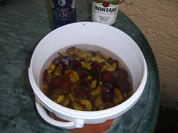 Rezept: Frucht Liquor Bild Nr. 2 Frucht Liquor - Rezept - Bild Nr. 2