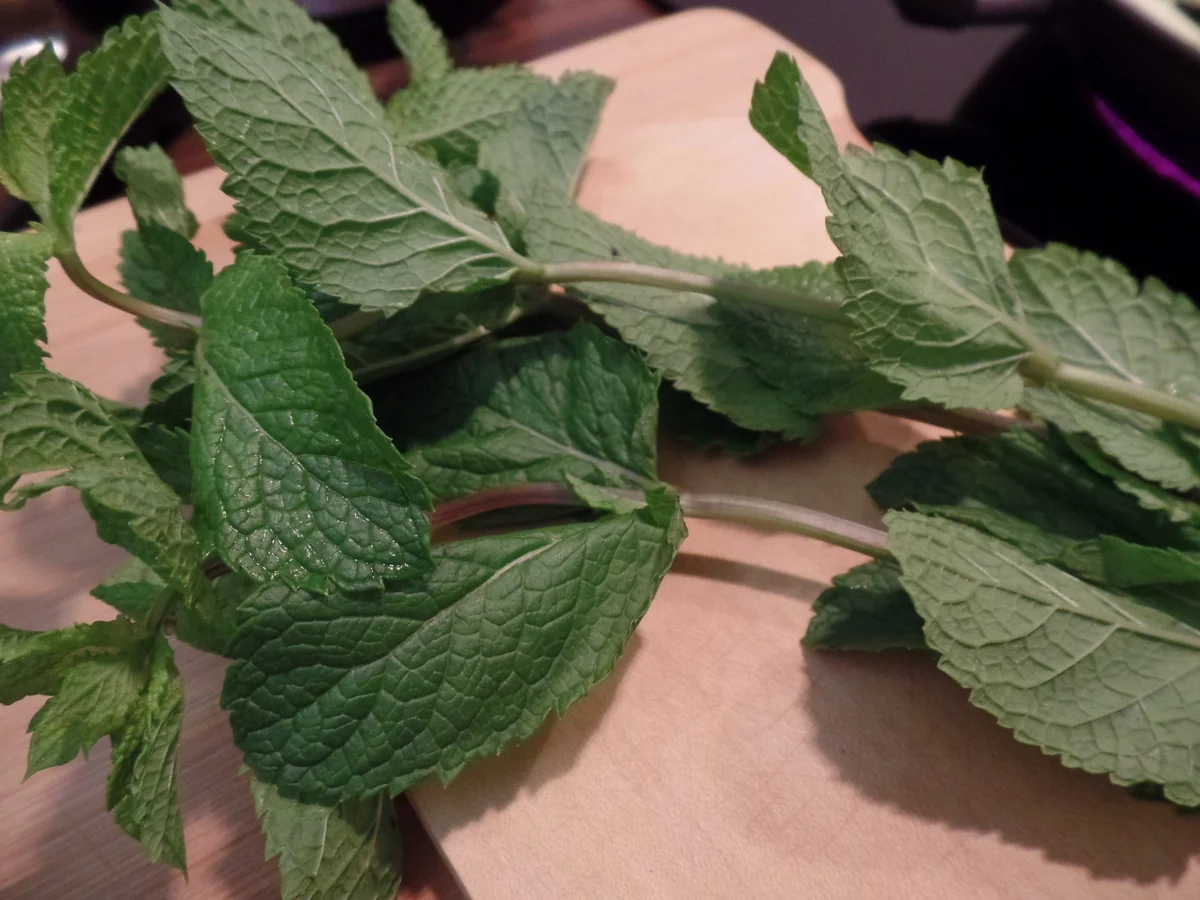 Tagliatelle mit Zucchini-Nudeln und Zitrone - Rezept - Bild Nr. 16050