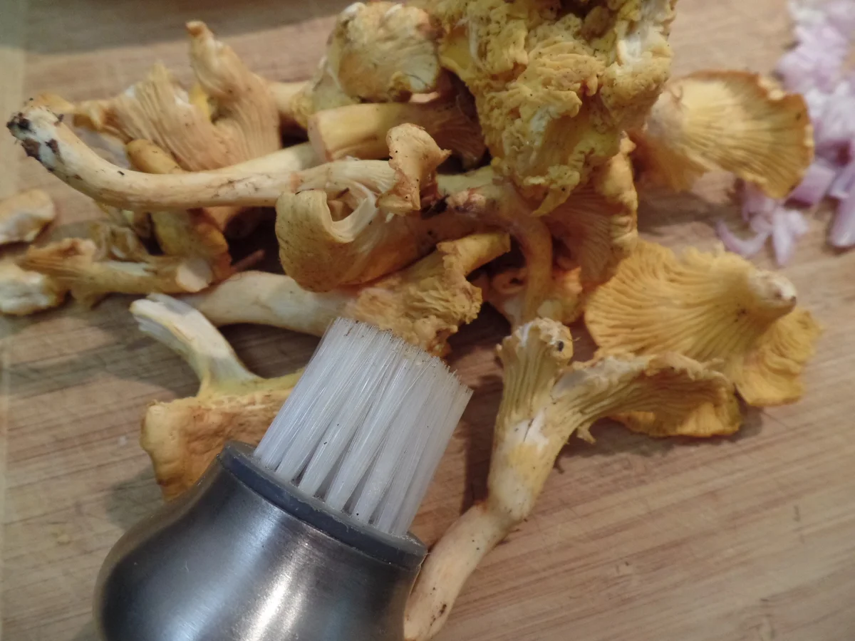 Cremige Polenta mit Pfifferlingen-Rahm-Sauce - Rezept - Bild Nr. 16052