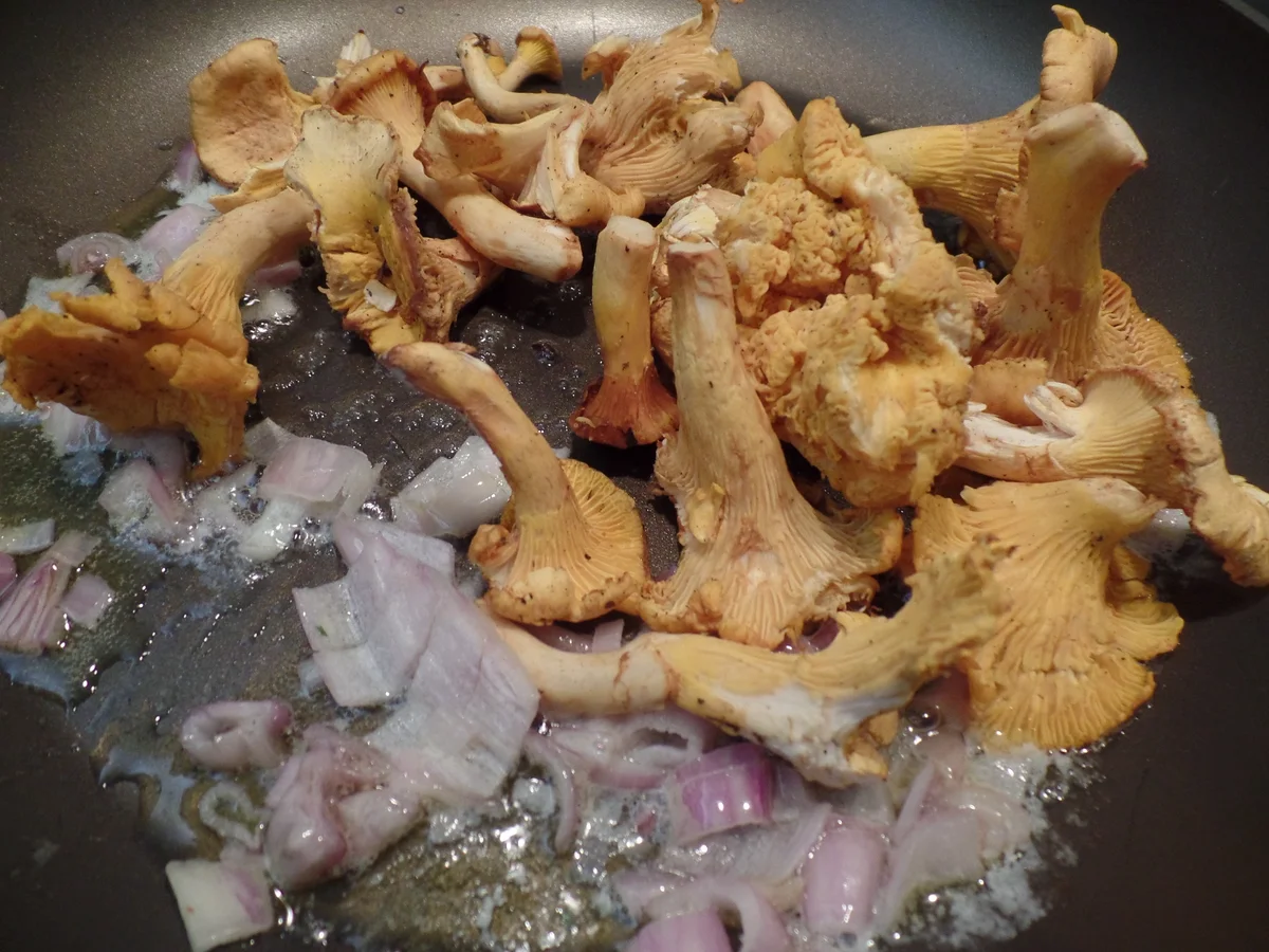 Cremige Polenta mit Pfifferlingen-Rahm-Sauce - Rezept - Bild Nr. 16054