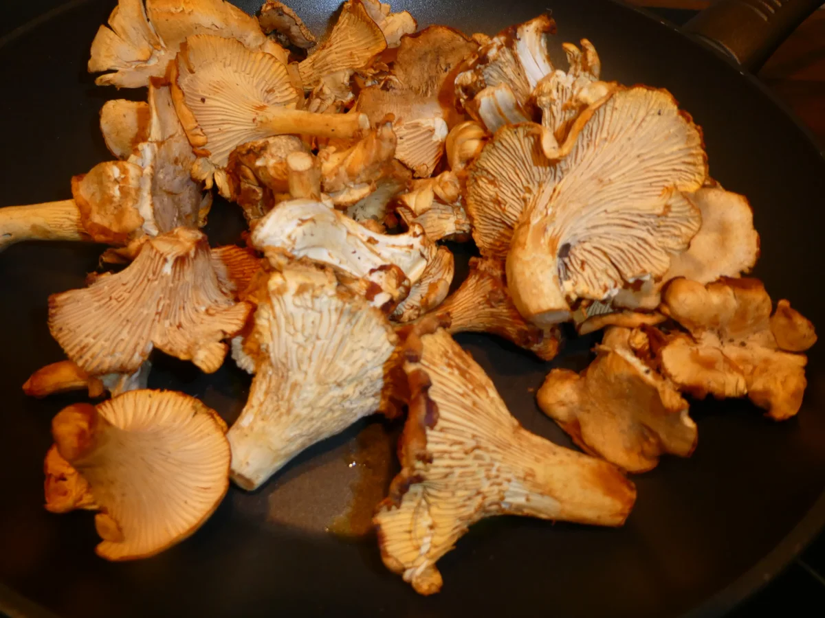 Kartoffel-Rösti mit Pfifferlingen - Rezept - Bild Nr. 16054