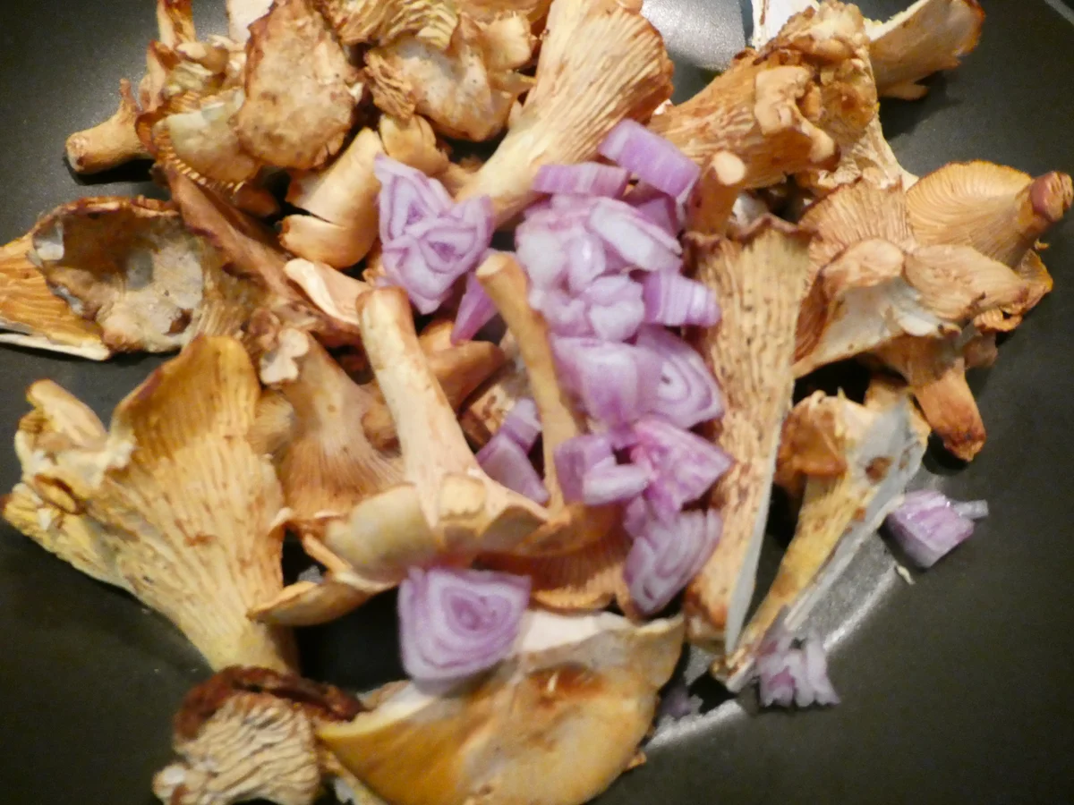 Kartoffel-Rösti mit Pfifferlingen - Rezept - Bild Nr. 16055