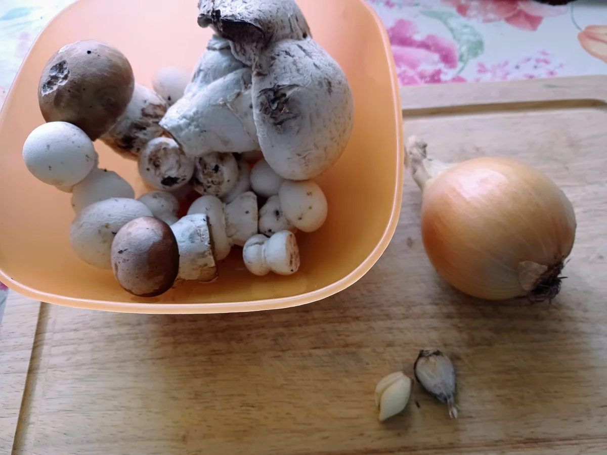 Rezept: Champignonsahnesoße mit Medaillons Bild Nr. 16063 Champignonsahnesoße mit Medaillons - Rezept - Bild Nr. 16063