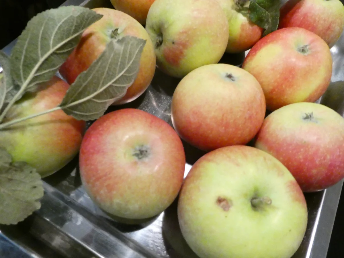 Apfelmarmelade mit Zimt - Rezept - Bild Nr. 16060