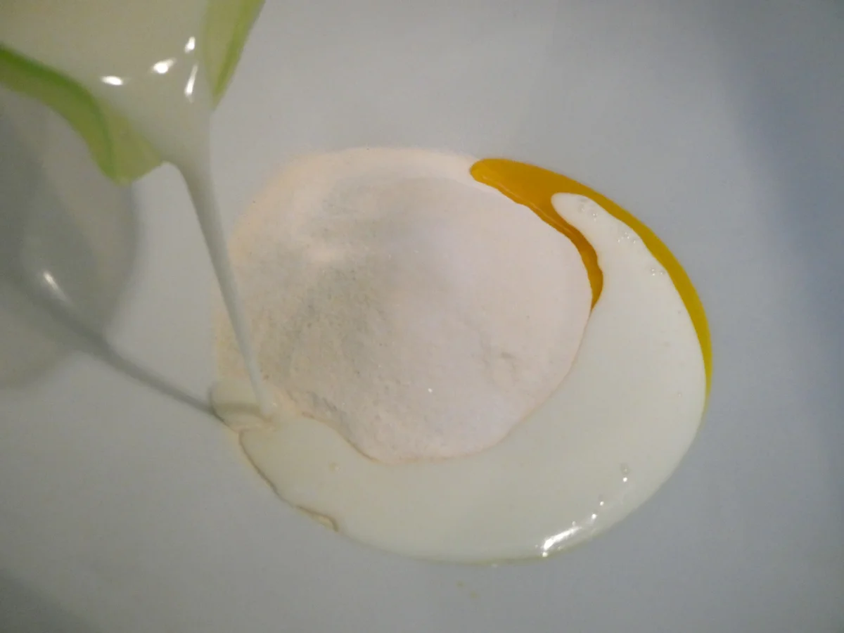 Flammkuchen mit Ziegenkäse und Weintrauben - Rezept - Bild Nr. 16062