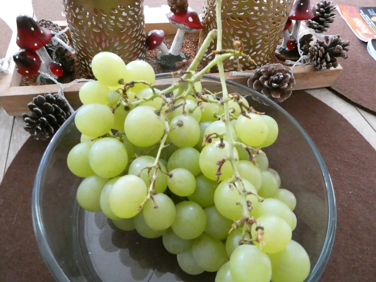 Weintrauben Marmelade - Rezept - Bild Nr. 16062