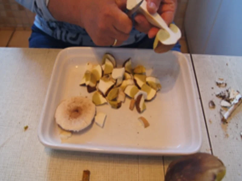 Rezept: Eier-Waldpilzpfanne Bild Nr. 5 Eier-Waldpilzpfanne - Rezept - Bild Nr. 5