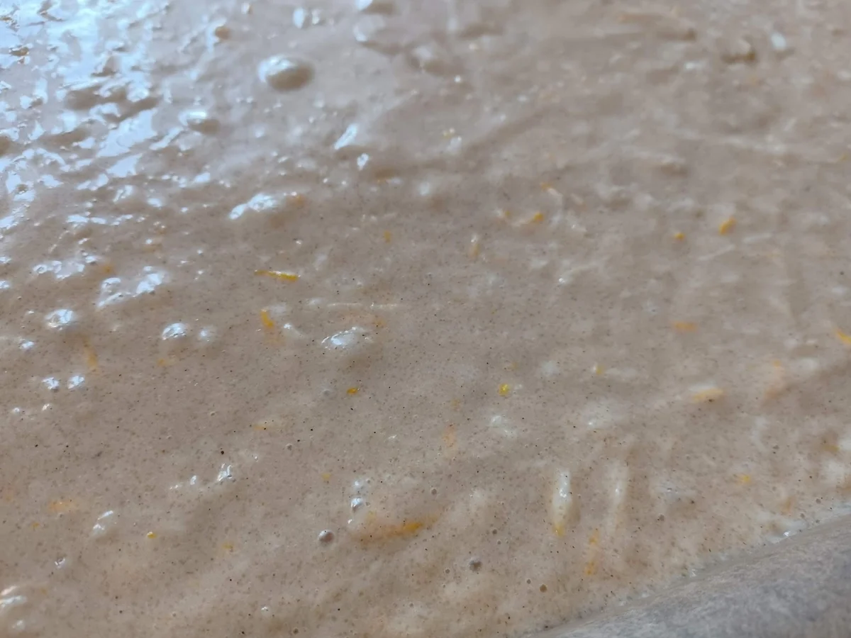 Zucchinikuchen - Rezept - Bild Nr. 16101