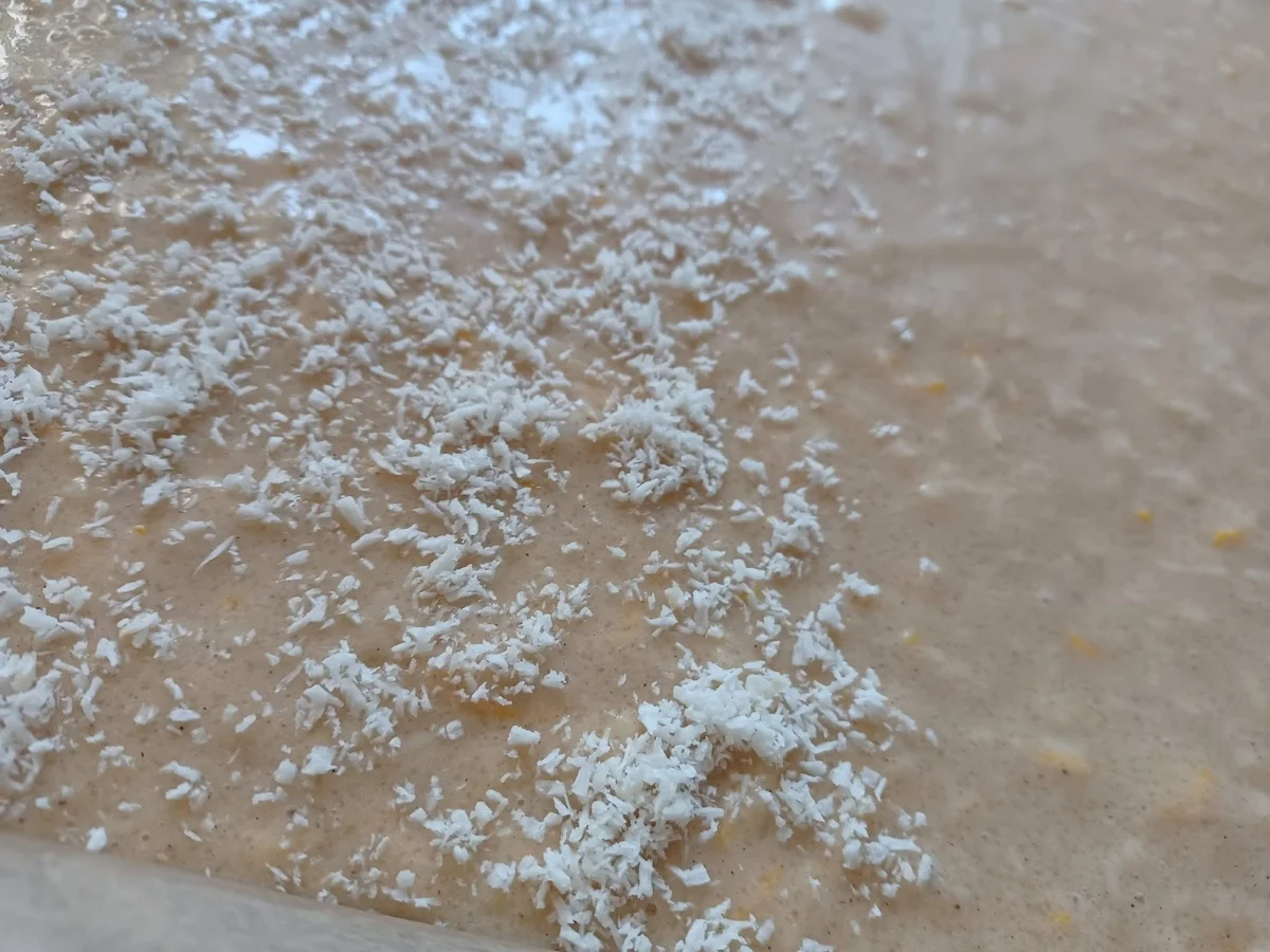 Zucchinikuchen - Rezept - Bild Nr. 16102